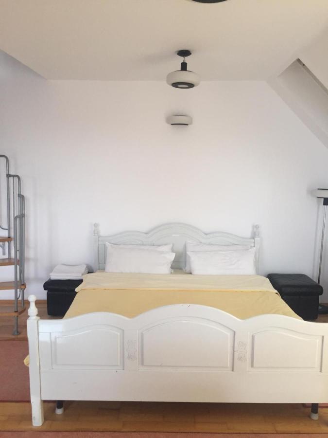 Casa Flavia Apartment Sancraiu de Mures Екстериор снимка